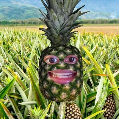 cintahbuah's profile picture. kawasan bebas calo