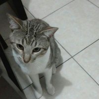 Alejandro (@alecanseco92) 's Twitter Profile