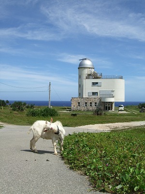 品川区の端っこ小山在住。歯列矯正終わってリテーナー生活に入りました。旅好き。お得好き。おひとりさま得意です。断捨離中