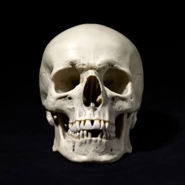 5s_99s's profile picture. 恥の多い人生でも夢多く、明日が待ち遠しい。