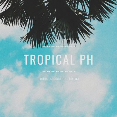 TropicalPh's profile picture. cactus . succulents . foliage