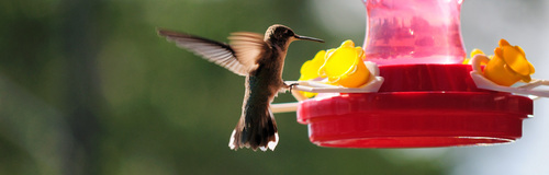 ois_possible's profile picture. ois possible: Der Ideenpool für alle, um die Stadt von einer neuen, grünen, spannenden, nachhaltigen Seite kennenzulernen https://t.co/hnGgShF6