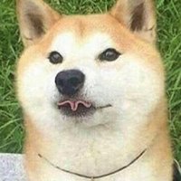 Burrrc (@burrrrrc) 's Twitter Profile