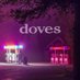 Doves (@dovesmusicblog) Twitter profile photo