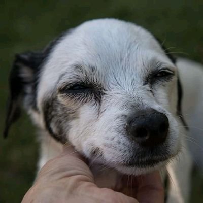 jaydenisgreat69's profile picture. .gamer
.player
.slayer
.hater
.I dont care