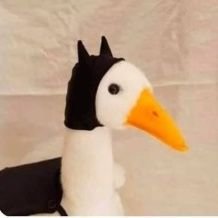 Silverand_'s profile picture. Me gusta informar al mundo de cosas que harán que pierdan la fe en la humanidad.


Otaku | Anonymous Fan | Lisand, Envy, Silver, Patman, Patobin o CC.