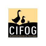 CIFOG (@officiel_cifog) 's Twitter Profile