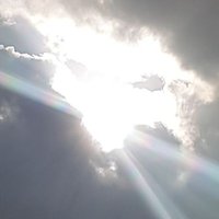 LMNOP . (@lmnop84281659) 's Twitter Profile
