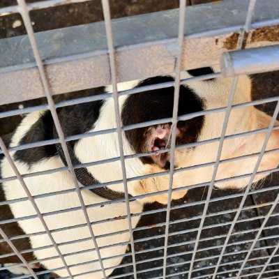 Abhishe27817665's profile picture. 