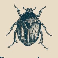خنفسانة (@beetle_sa) 's Twitter Profile