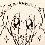 ﾆｯｷさんのプロフィール画像