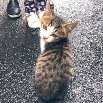 ノダチカさんのプロフィール画像