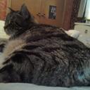 Becky Schmidt - @schm0066 - Twitter