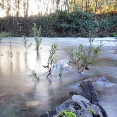 barry_rudlin's profile picture. 