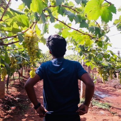 Rithvik28959337's profile picture. 