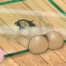 FLATTENED (@bothtoboth1) Twitter profile photo FLATTENED (@bothtoboth1) Twitter profile photo