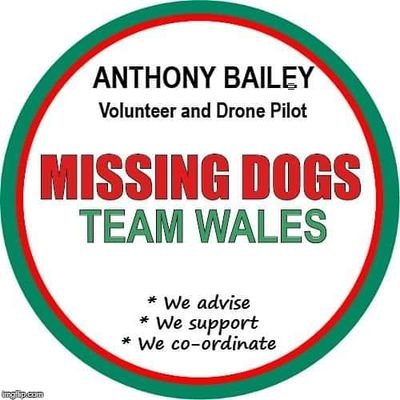 Coordinator, Drone and Ground Search volunteer with Missing Dogs Team Wales.