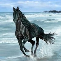 🦅ⓜⓐⓣⓡⓐⓝ™🦅 (@mtrn66) Twitter profile photo