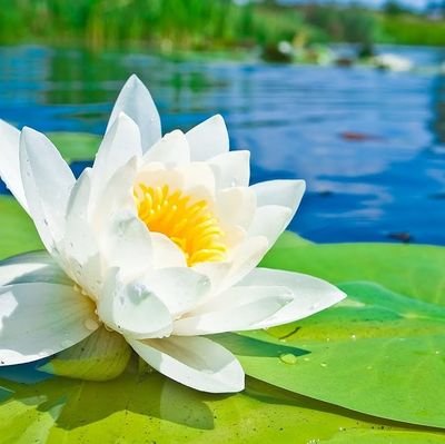 Motto : Calming Chaotic Clouds
All the answers & mediums to relax, against toxic vibes are present in the human being & nature.
