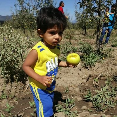 kalanit04872570's profile picture. sales manager