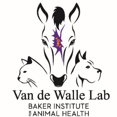 The Van de walle Lab