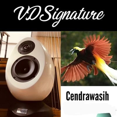 vdsignature's profile picture. Sound Sistem dan Home Audio di Tangerang