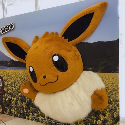 もえさんさんのプロフィール画像