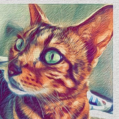 ベンガル猫のたいが７歳男の子の暮らし載せてます👊デジタル加工勉強中/水彩画ペン画油絵/時々フォロワーさんの猫ちゃん絵にしてます🐈🐈🐈