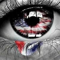 Lisa 🇺🇸🏴☠️ #DemocracyMatters (@l1saj) 's Twitter Profile