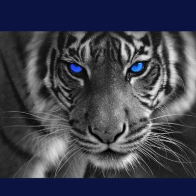 Love Jesus, my husband Tim, our kids and grandkids 💕 overly blessed by God’s Grace and Mercy.      former golf coach - Love Love Love my Memphis Tigers!!