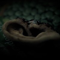 Pretty Grim Productions (@grim_pretty) 's Twitter Profile Photo Pretty Grim Productions (@grim_pretty) 's Twitter Profile Photo