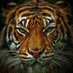 OFFICIAL SLIDELL HIGH SCHOOL BOYS BASKETBALL (@slidellboys) Twitter profile photo OFFICIAL SLIDELL HIGH SCHOOL BOYS BASKETBALL (@slidellboys) Twitter profile photo