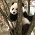💖 (@unsociablepanda) Twitter profile photo 💖 (@unsociablepanda) Twitter profile photo