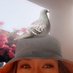 Ellery Wolf (@ellery_wolf) Twitter profile photo Ellery Wolf (@ellery_wolf) Twitter profile photo