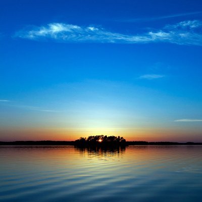 WayneWencho's profile picture. Stay shinning