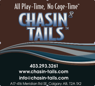 The breakthrough in boarding, daycare and grooming that your dog has been begging for: cage-free care at Chasin' Tails. Give your dog the best.