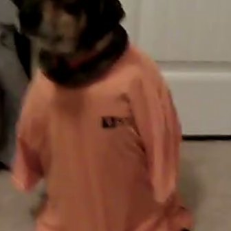 FLEXSEAL12's profile picture. 