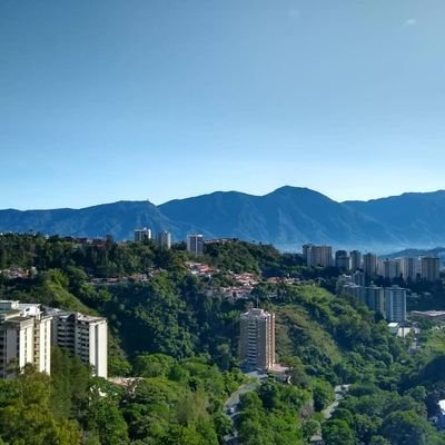 Ingeniero Químico, profesora en la FIUCV, asesor en Gerencia de Proyectos y formación de emprendedores.