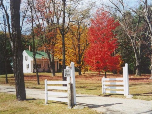 gavinnicksonr's profile picture. 