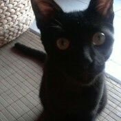 Jessi_jess34's profile picture. 