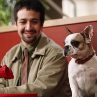 Whataboutism Dog (@whataboutismd) 's Twitter Profile