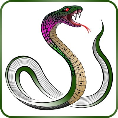 SlitherStrings's profile picture. Guitar & Bass strings with striking good tone and just the right bite! Slither Strings offer the highest quality, durable, and affordable strings on the market.