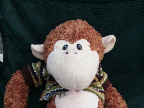 Mike_Monky's profile picture. I am a small cheeky fun-loving anthropoid primate who likes bananas. I like climbing and abseiling and partying !
