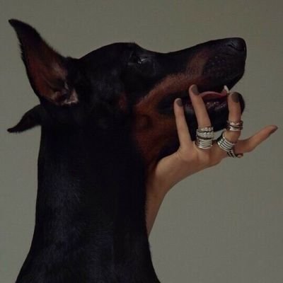 QEi9PIFD3sLd7rW's profile picture. 