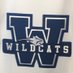 SC Innovation Federal Credit Union Wildcats (@scaaawildcats) Twitter profile photo