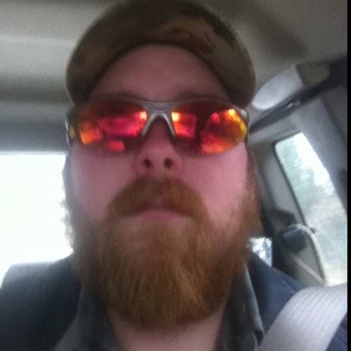 Shorfafu's profile picture. 