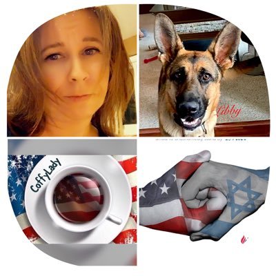 Constitutional Conservative/Christian/Daughter of Vietnam Vet. I support our police officers! 🚔 Follow me on Parler