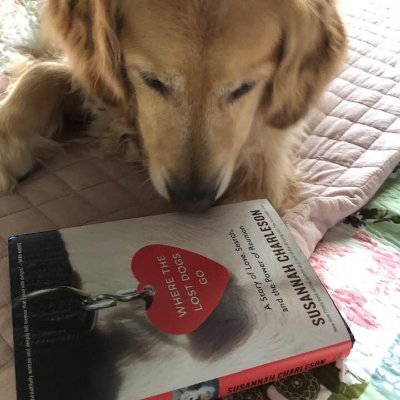 K9 handler writing & tweeting about the animals who challenge and change us. Mostly muddy, snake-struck, covered in dog fur. Rep. Susan Canavan, Waxman Literary