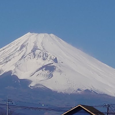 製薬会社、薬局に勤務して定年退職。薬学修士の薬剤師。
フリーでアドバイザーと投資家をやってます。
専門は抗ウイルス薬、免疫作用薬の研究開発。知的財産管理技能士で渉外業務もしていたので、知的財産権、契約については少しうるさいです。
思想的には尊皇攘夷なので、右寄りです。