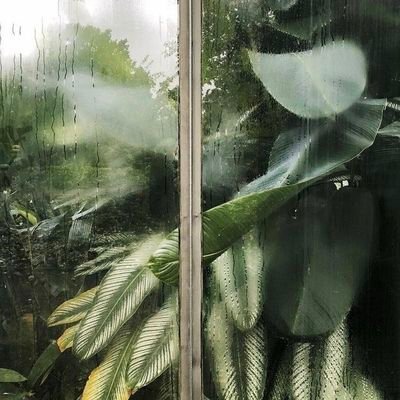 Haya_Ibrahim's profile picture. ‏‏‏‏حتى حين ...